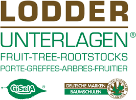 Logo LODDER